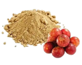 Camu-Camu Fruit Pulp Powder