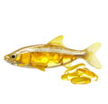 fish oil