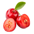 Acerola fruit powder