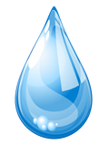 Purified Water