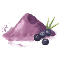 Açaí fruit powder